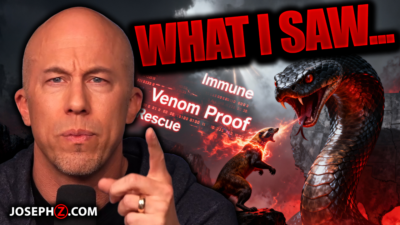 I Saw A MONGOOSE RELEASED at a GIANT VIPER!!